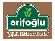 Arifoğlu